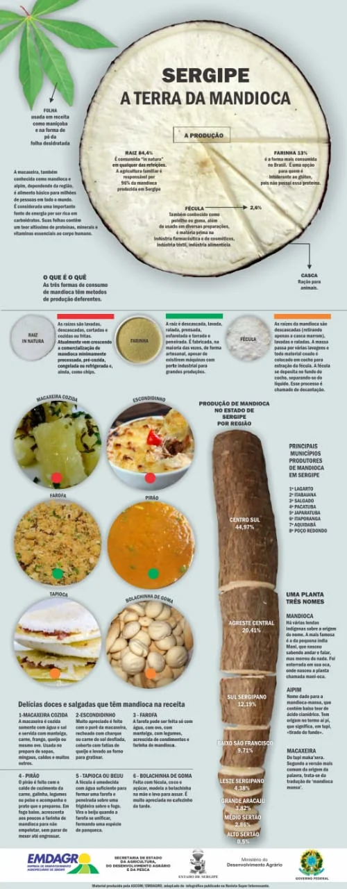 Infográfico Sergipe A Terra da Mandioca: formas de consumo, produção por região, municípios produtores e receitas tradicionais como beiju, tapioca e pé-de-moleque